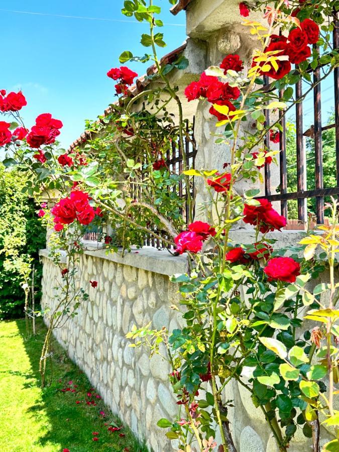 Villa Rila Garden Beli Iskar Eksteriør billede